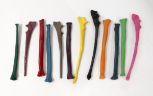 Crayons case in the shape of coyote bones by RYAN! Feddersen