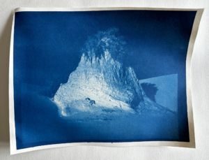 Cyanotype created by Steven Miller